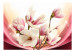 Carta da parati moderna Magnolia rosa sotto la luce - composizione di piante con fiori 63889 additionalThumb 1